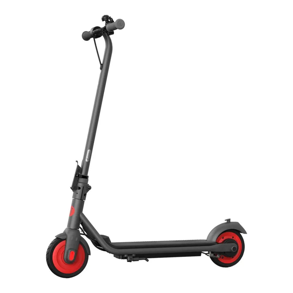 eKickScooter ZING C20