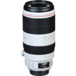 Canon EF 100-400mm f/4.5-5.6L IS II USM