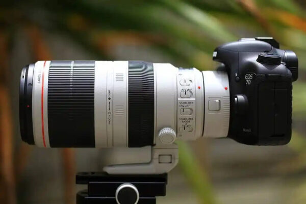 Canon EF 100-400mm f/4.5-5.6L IS II USM