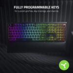 Razer Ornata V2 Gaming Keyboard