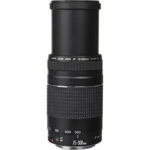 Canon EF 75-300mm f/4-5.6 III Lens