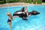 H2OGO Jumbo Whale Rider Inflatable Pool Float