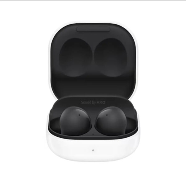 Samsung Galaxy Buds2 Graphite