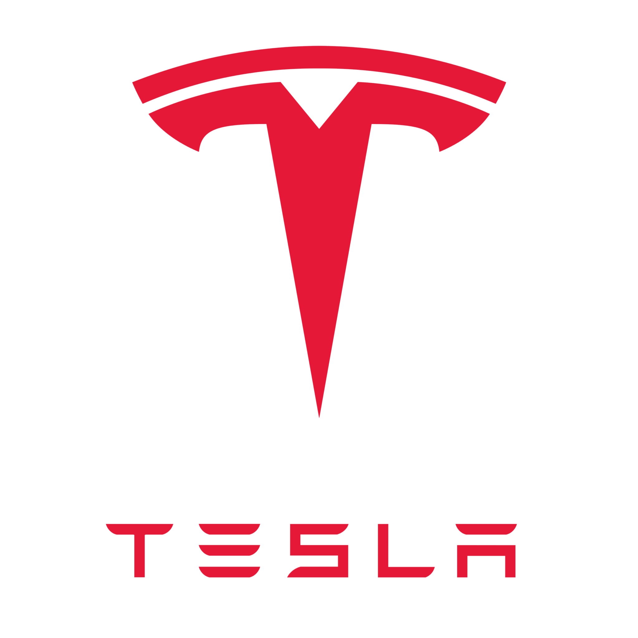 Tesla Brand