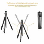 Kingjoy G555 with G0 4-Section Travel Tripod Detachable Monopod