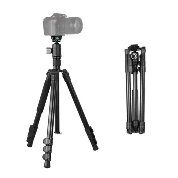 Kingjoy G555 with G0 4-Section Travel Tripod Detachable Monopod