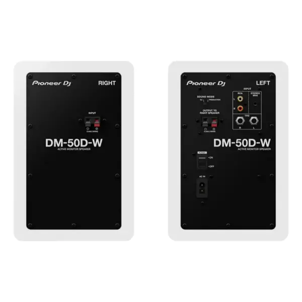 Pioneer DM-50D